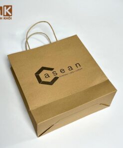 túi giấy kraft có quai