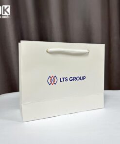Túi giấy in logo công ty LTS Group
