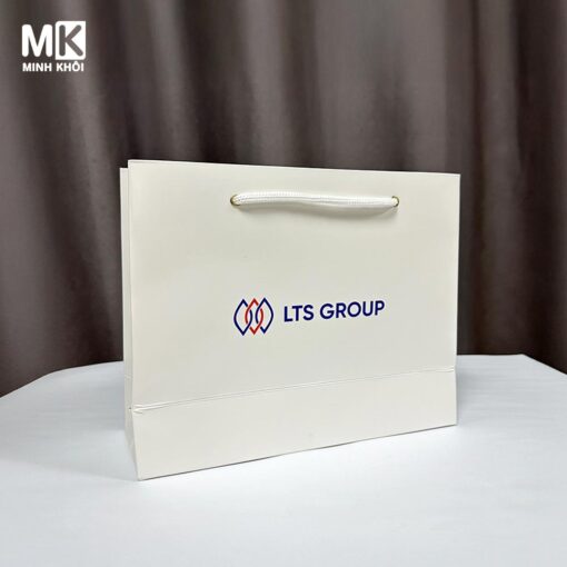 Túi giấy in logo công ty LTS Group