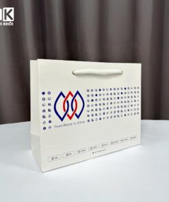 Túi giấy in logo công ty LTS Group