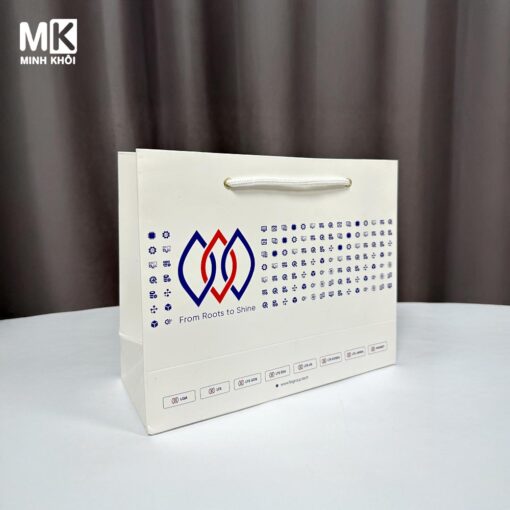 Túi giấy in logo công ty LTS Group