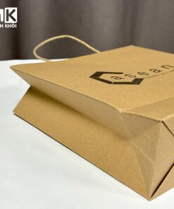 túi giấy kraft có quai