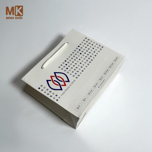 Túi giấy in logo công ty LTS Group