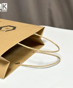 túi giấy kraft có quai