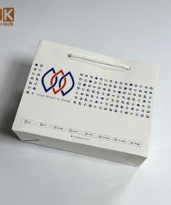 Túi giấy in logo công ty LTS Group