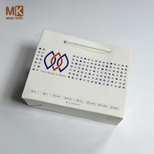 Túi giấy in logo công ty LTS Group