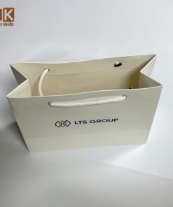 Túi giấy in logo công ty LTS Group