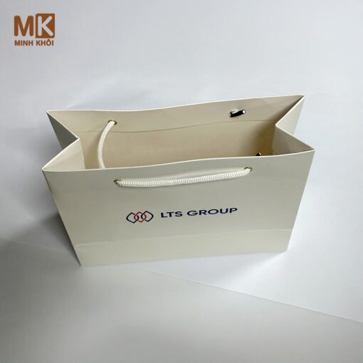 Túi giấy in logo công ty LTS Group
