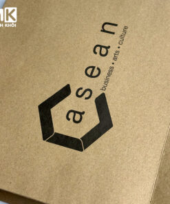 túi giấy kraft có quai