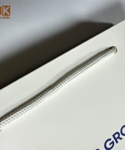 Túi giấy in logo công ty LTS Group