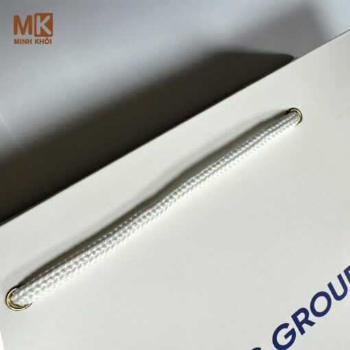 Túi giấy in logo công ty LTS Group